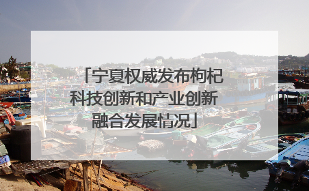 宁夏权威发布枸杞科技创新和产业创新融合发展情况