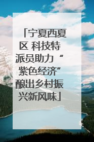 宁夏西夏区 科技特派员助力“紫色经济”酿出乡村振兴新风味