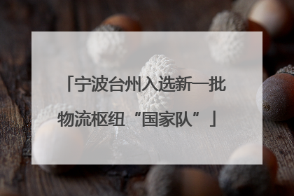 宁波台州入选新一批物流枢纽“国家队”