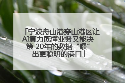 宁波舟山港穿山港区让AI算力既懂业务又能决策 20年的数据“喂”出更聪明的港口