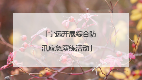 宁远开展综合防汛应急演练活动