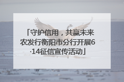 守护信用，共赢未来 农发行衡阳市分行开展6·14征信宣传活动
