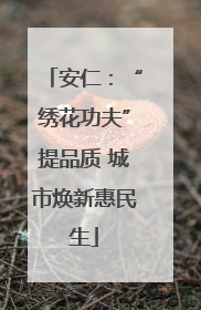 安仁：“绣花功夫”提品质 城市焕新惠民生