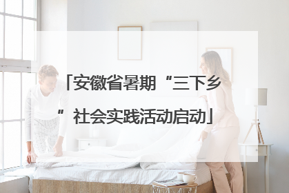 安徽省暑期“三下乡”社会实践活动启动