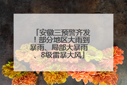 安徽三预警齐发！部分地区大雨到暴雨、局部大暴雨、8级雷暴大风