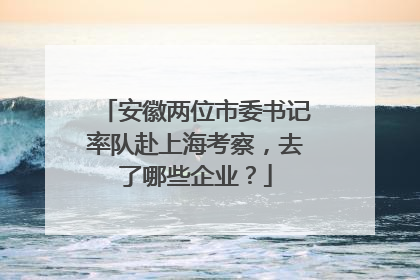 安徽两位市委书记率队赴上海考察，去了哪些企业？