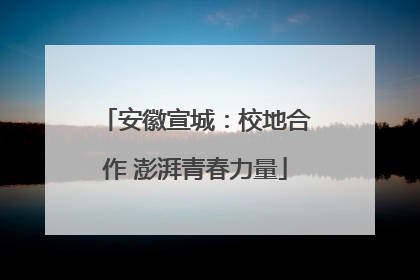 安徽宣城：校地合作 澎湃青春力量