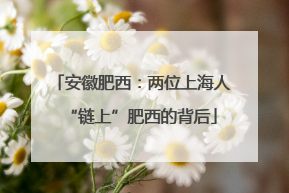 安徽肥西：两位上海人“链上”肥西的背后