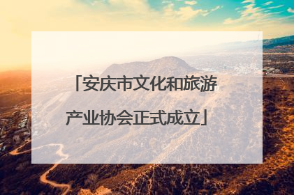 安庆市文化和旅游产业协会正式成立
