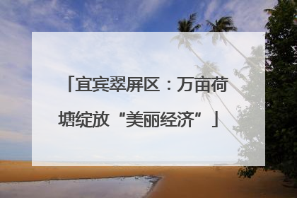 宜宾翠屏区：万亩荷塘绽放“美丽经济”