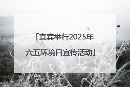 宜宾举行2025年六五环境日宣传活动