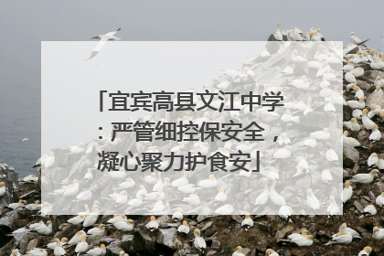 宜宾高县文江中学：严管细控保安全，凝心聚力护食安