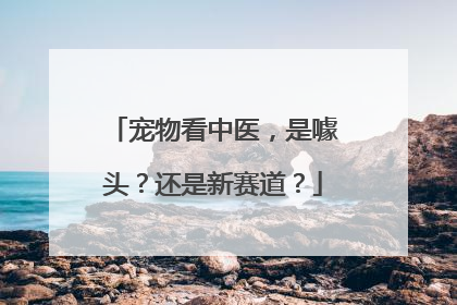 宠物看中医，是噱头？还是新赛道？