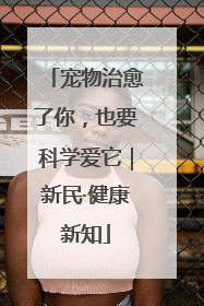 宠物治愈了你，也要科学爱它｜新民·健康新知
