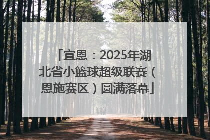 宣恩：2025年湖北省小篮球超级联赛（恩施赛区）圆满落幕