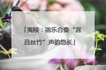 夷陵：器乐合奏“宜昌丝竹”声韵悠长