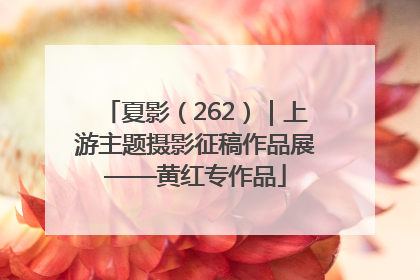 夏影（262）｜上游主题摄影征稿作品展——黄红专作品