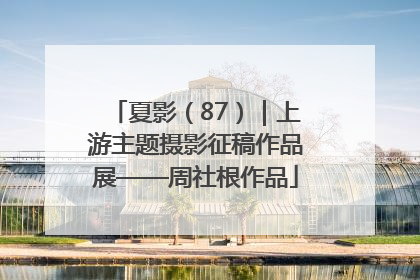 夏影（87）｜上游主题摄影征稿作品展——周社根作品
