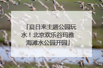 夏日来主题公园玩水！北京欢乐谷玛雅海滩水公园开园