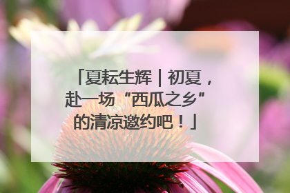 夏耘生辉｜初夏，赴一场“西瓜之乡”的清凉邀约吧！
