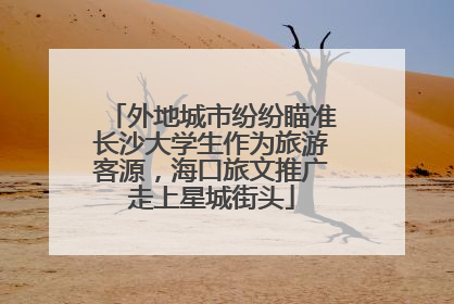 外地城市纷纷瞄准长沙大学生作为旅游客源，海口旅文推广走上星城街头