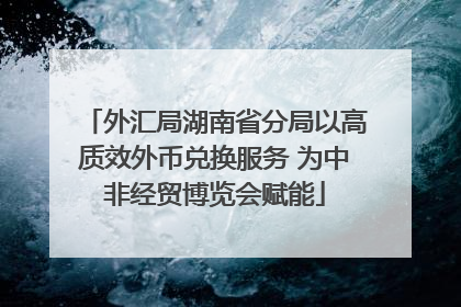 外汇局湖南省分局以高质效外币兑换服务 为中非经贸博览会赋能
