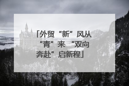 外贸“新”风从“青”来 “双向奔赴”启新程