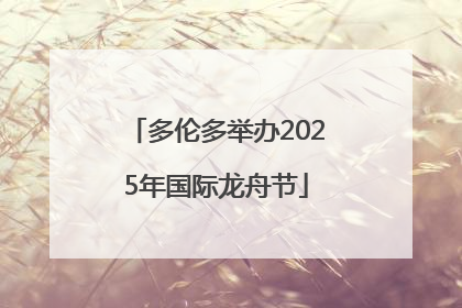 多伦多举办2025年国际龙舟节
