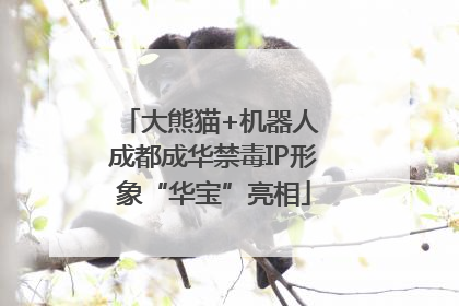 大熊猫+机器人 成都成华禁毒IP形象“华宝”亮相