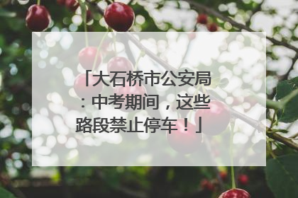 大石桥市公安局：中考期间，这些路段禁止停车！