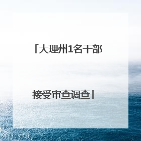 大理州1名干部接受审查调查