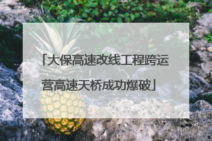 大保高速改线工程跨运营高速天桥成功爆破