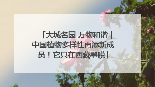 大城名园 万物和谐｜中国植物多样性再添新成员！它只在西藏墨脱