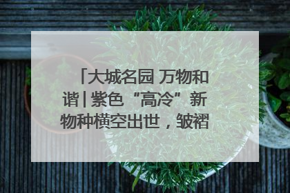 大城名园 万物和谐│紫色“高冷”新物种横空出世，皱褶叶片暗藏进化密码