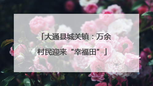 大通县城关镇：万余村民迎来“幸福田”