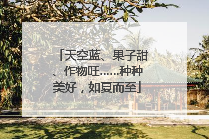 天空蓝、果子甜、作物旺……种种美好，如夏而至