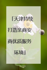 天津持续打造亲商安商优质服务环境