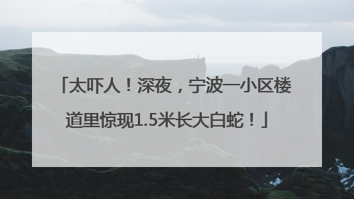 太吓人！深夜，宁波一小区楼道里惊现1.5米长大白蛇！