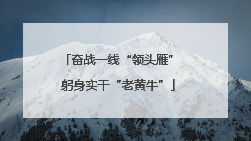 奋战一线“领头雁” 躬身实干“老黄牛”