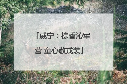 威宁：棕香沁军营 童心敬戎装