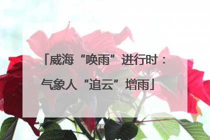 威海“唤雨”进行时：气象人“追云”增雨