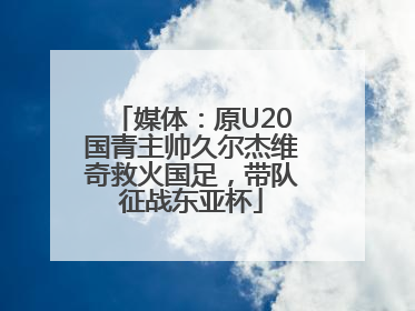 媒体：原U20国青主帅久尔杰维奇救火国足，带队征战东亚杯