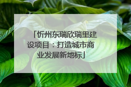 忻州东瑞欣瑞里建设项目：打造城市商业发展新地标