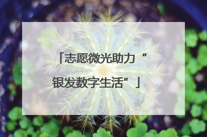 志愿微光助力“银发数字生活”