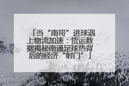 当“南哥”进球遇上物流加速：货运数据揭秘南通足球热背后的经济“射门”