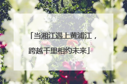 当湘江遇上黄浦江，跨越千里相约未来