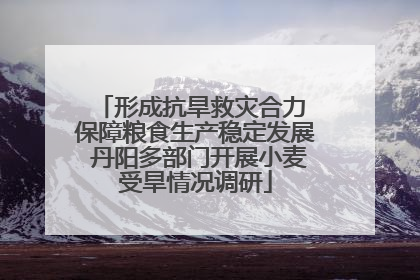 形成抗旱救灾合力 保障粮食生产稳定发展 丹阳多部门开展小麦受旱情况调研