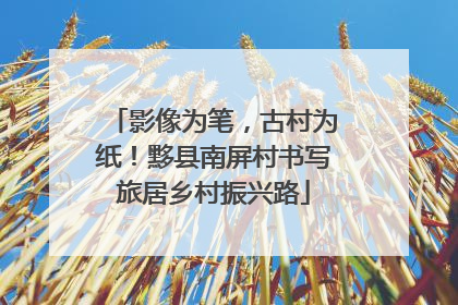 影像为笔，古村为纸！黟县南屏村书写旅居乡村振兴路