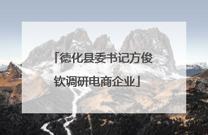 德化县委书记方俊钦调研电商企业