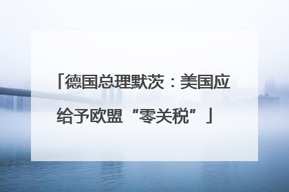 德国总理默茨：美国应给予欧盟“零关税”